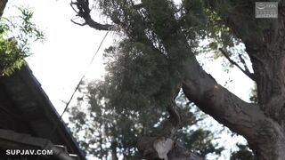 NSFS-089 熟母22 ～義理の息子にハマり狂う中年女～