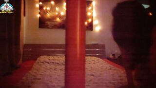 约了一个吊钟乳眼镜熟女，超级骚跪接精液颜射口爆