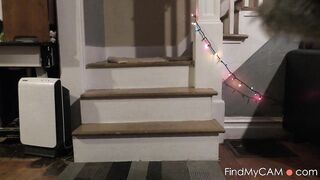 Naughty Elf's Surprise in Red