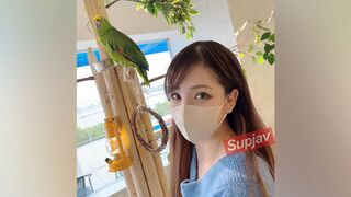 3114046 (☆˘︶˘☆) JAV