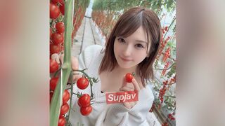 3172004 (❀╹◡╹) JAV