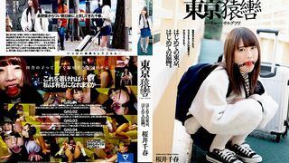 GAGD (@_@) JAV 破壞版 001 桜井千春
