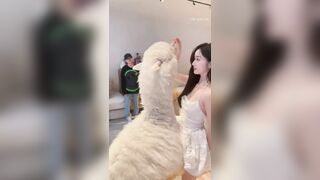 【焕儿】百万粉丝网红职业汉服模特合集 - (26)