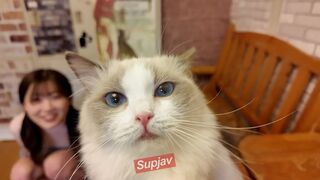 4511406 ლ(╹◡╹ლ) JAV