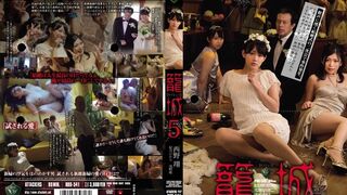 RBD (@_@) JAV 破壞版 541 西野翔,妃乃ひかり,浅野唯