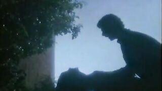 The House by the Edge of the Lake