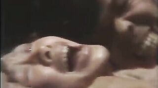 寺内貫太郎一家2