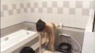 Japanese Adult Massage Video: Amateur Asian Relaxation