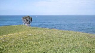 Public Blowjob with a View: Amateur Couple Almost Caught!