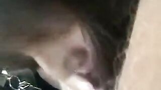 Chinese Amateur Asia