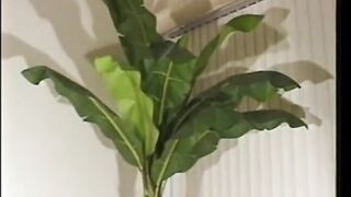 Japanese Amateur Girls Hardcore Audition