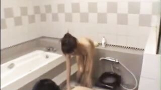 Japanese Adult Massage Video: Amateur Asian Relaxation